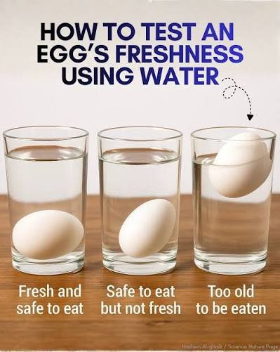 Eggs (30 Pcs/Tray)