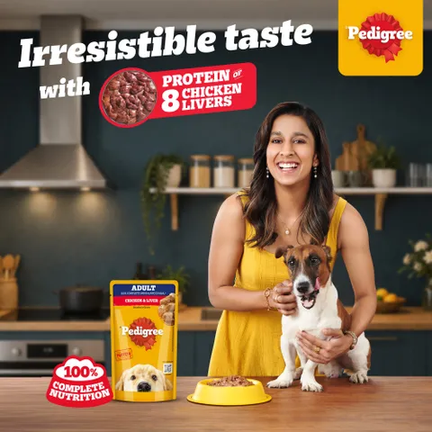 Pedigree Adult Wet Dog Food, Chicken & Liver Chunks in Gravy (130 g)